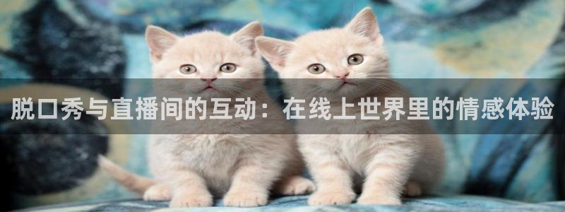 松鼠看球直播：脱口秀与直播间的互动：在线上世界里的情感体验