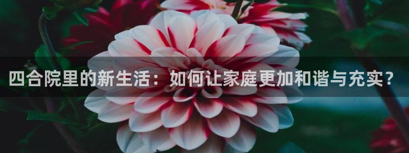 松鼠直播tv：四合院里的新生活：如何让家庭更加和谐与充实？