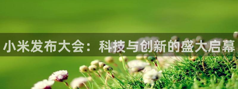 松鼠宝贝体育：小米发布大会：科技与创新的盛大启幕