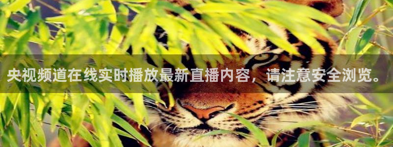 松鼠网官方下载：央视频道在线实时播放最新直播内容，请注意安全浏览。