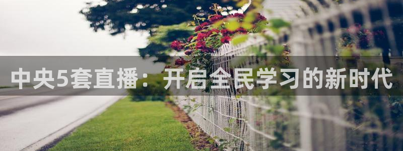 松鼠直播nba：中央5套直播：开启全民学习的新时代