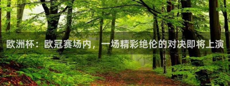 松鼠宝贝体育：欧洲杯：欧冠赛场内，一场精彩绝伦的对决即将上演
