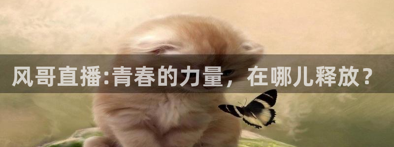 松鼠直播nba：风哥直播:青春的力量，在哪儿释放？