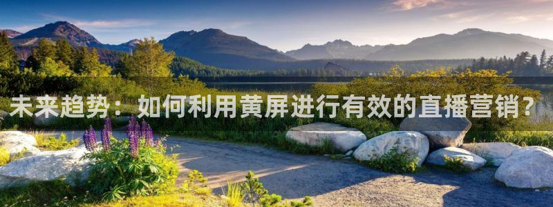 松鼠直播体育：未来趋势：如何利用黄屏进行有效的直播营销？