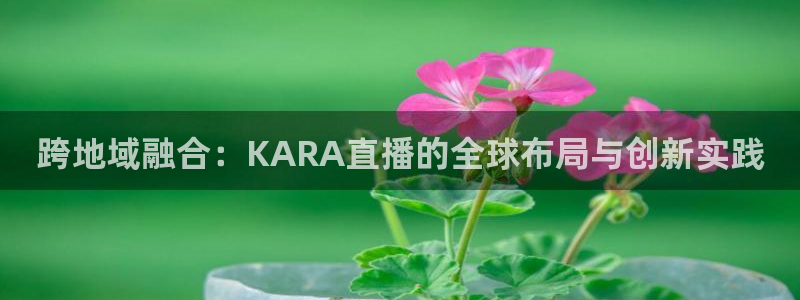 松鼠直播tv：跨地域融合：KARA直播的全球布局与创新实践
